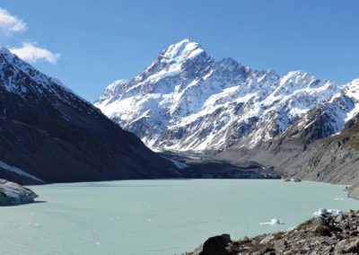 Wild NZ