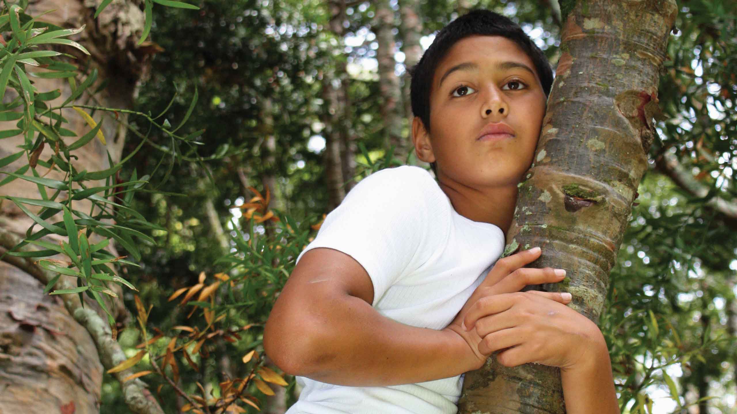 Last Child In The Woods Grapevine Magazine