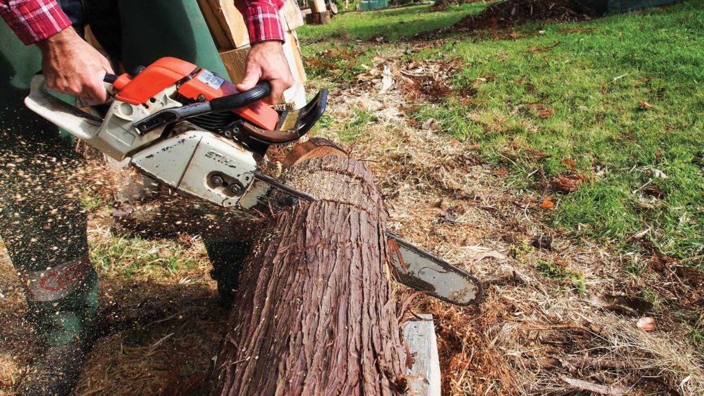 Chainsawing firewood