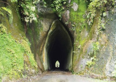 The Forgotten World Highway