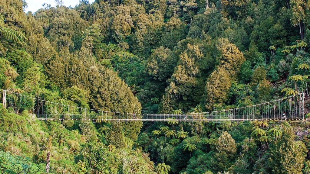 Maramataha suspension bridge