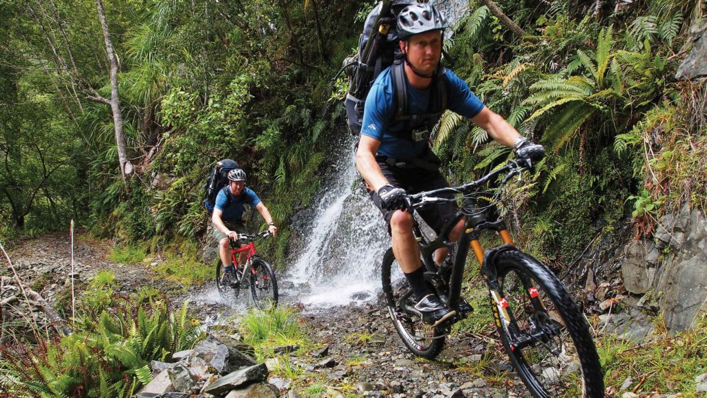 Wild NZ