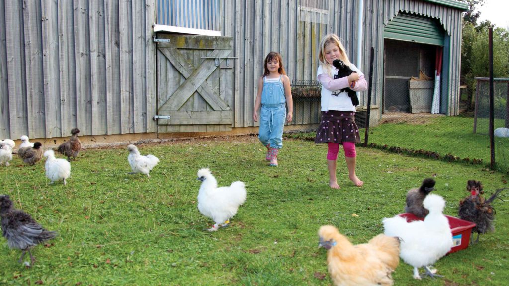 Free range kids