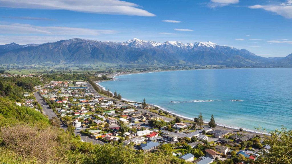Wild NZ