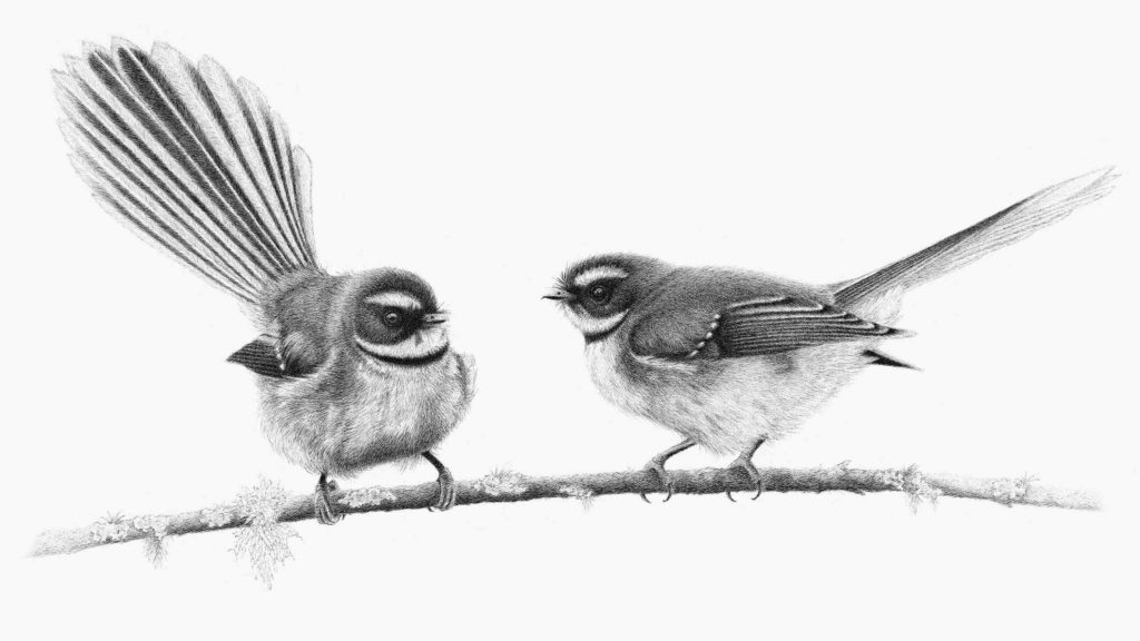 Hannah Shand Art